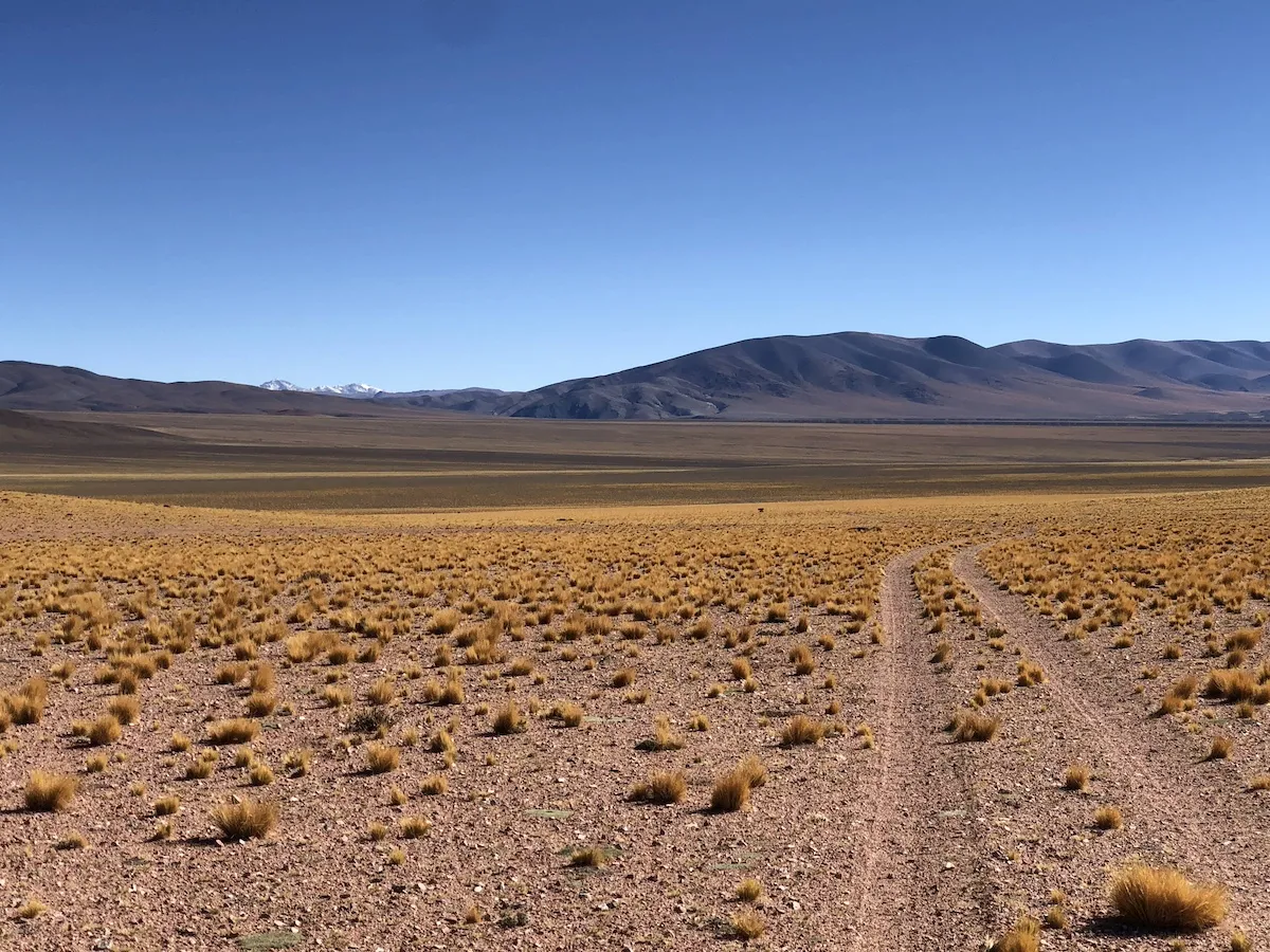 Expedición guiada por el Parque Nacional San Guillermo